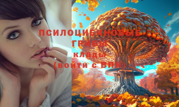дживик Баксан
