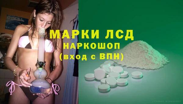 дживик Баксан