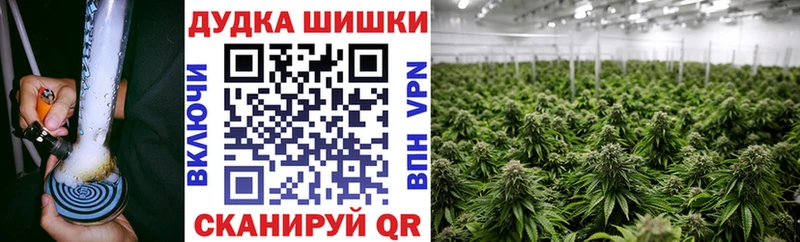 Каннабис план  Афипский 